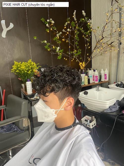 Hình ảnh PIXIE HAIR CUT (chuyên tóc ngắn)